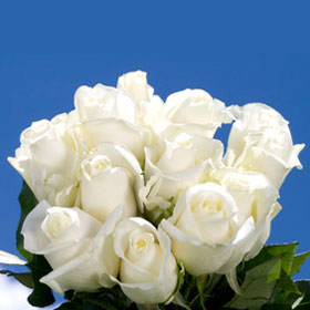 Image of ID 495071426 200 White Perfect Gift Roses