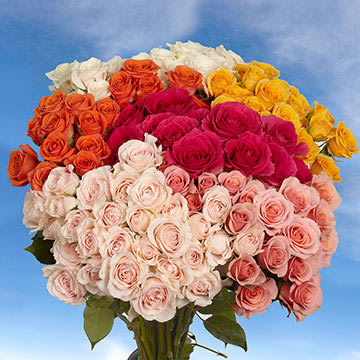Image of ID 495071458 200 Assorted Spray Carnations