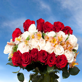Image of ID 495071490 6 Roses & Fillers Bouquets