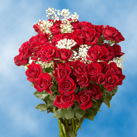 Image of ID 495071610 96 Spray Roses & Fillers
