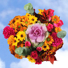Image of ID 495071655 7 Thanksgiving Bouquets
