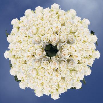 Image of ID 495071771 250 White Roses Free Delivery