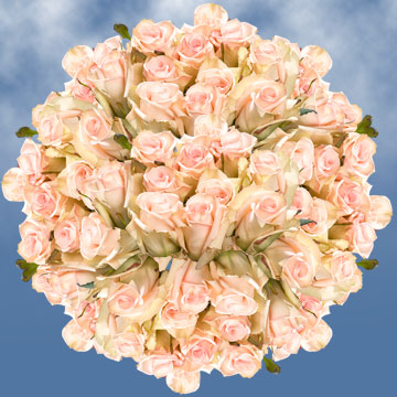 Image of ID 495071776 12 Centerpieces Premium Roses