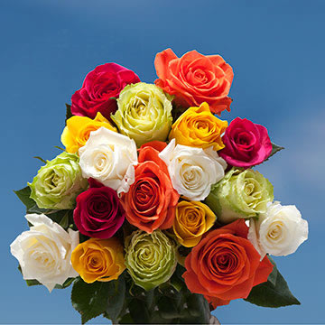 Image of ID 495071846 200 Assorted Color Roses
