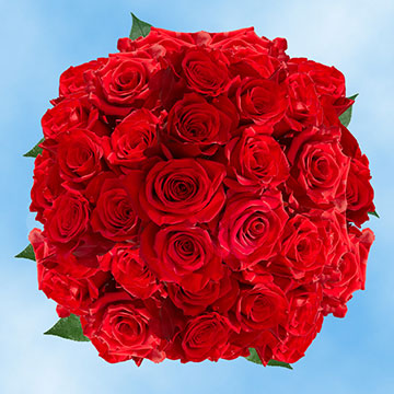 Image of ID 516472000 150 Red Roses Bulk