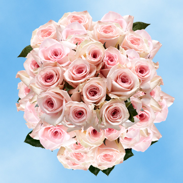 Image of ID 516472034 150 Special Pink Roses