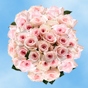 Image of ID 516472036 200 Pink Roses Cheap