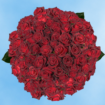 Image of ID 516472042 200 Fresh Cut Dark Red Roses