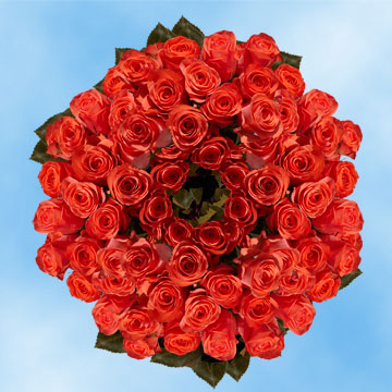 Image of ID 516472059 250 Orange Roses Delivery