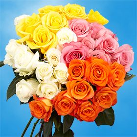 Image of ID 516472170 100 Assorted Roses Next Day