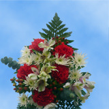 Image of ID 687576815 9 Snow Christmas Bouquets
