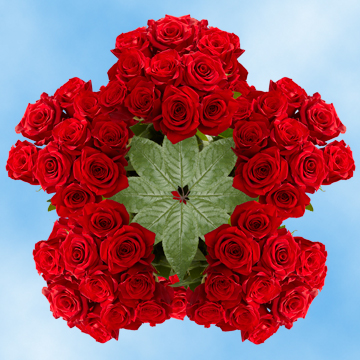 Image of ID 687577756 250 Roses Valentines Delivery