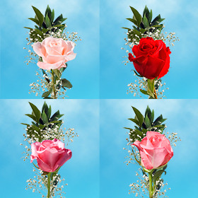 Image of ID 687577788 60 Individual Roses & Fillers
