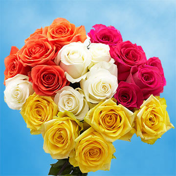 Image of ID 687578874 75 Assorted Roses Next Day
