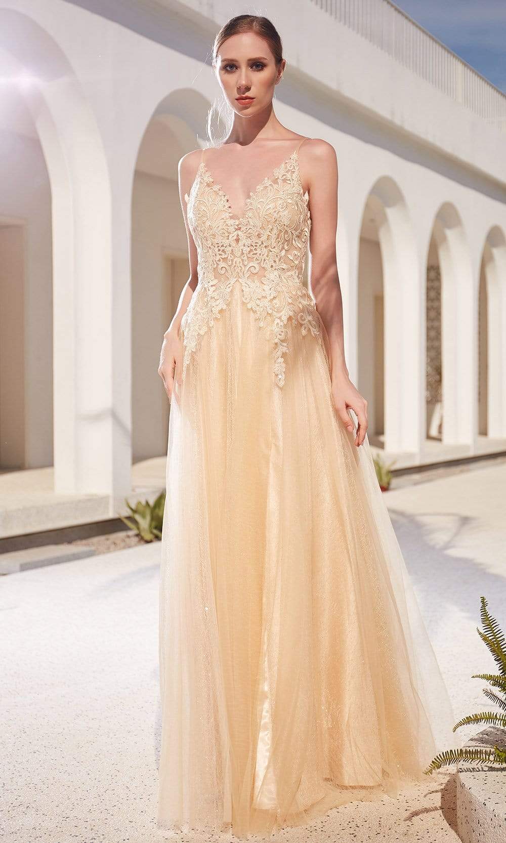 Image of J'Adore Dresses - JM104 Lace Applique Bodice Glitter Tulle A-Line Gown