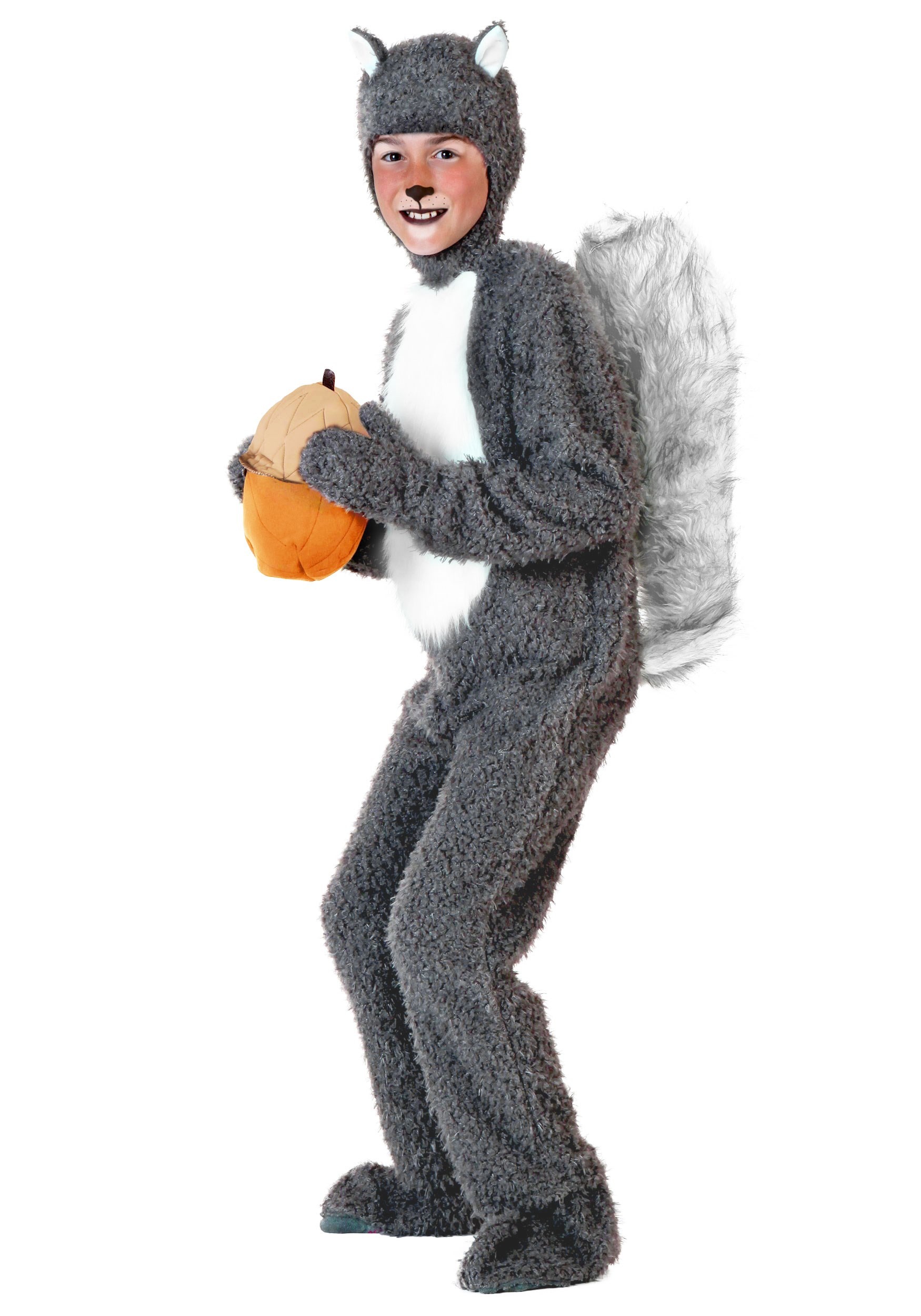 Image of Kids Squirrel Costume ID FUN1309CH-XL