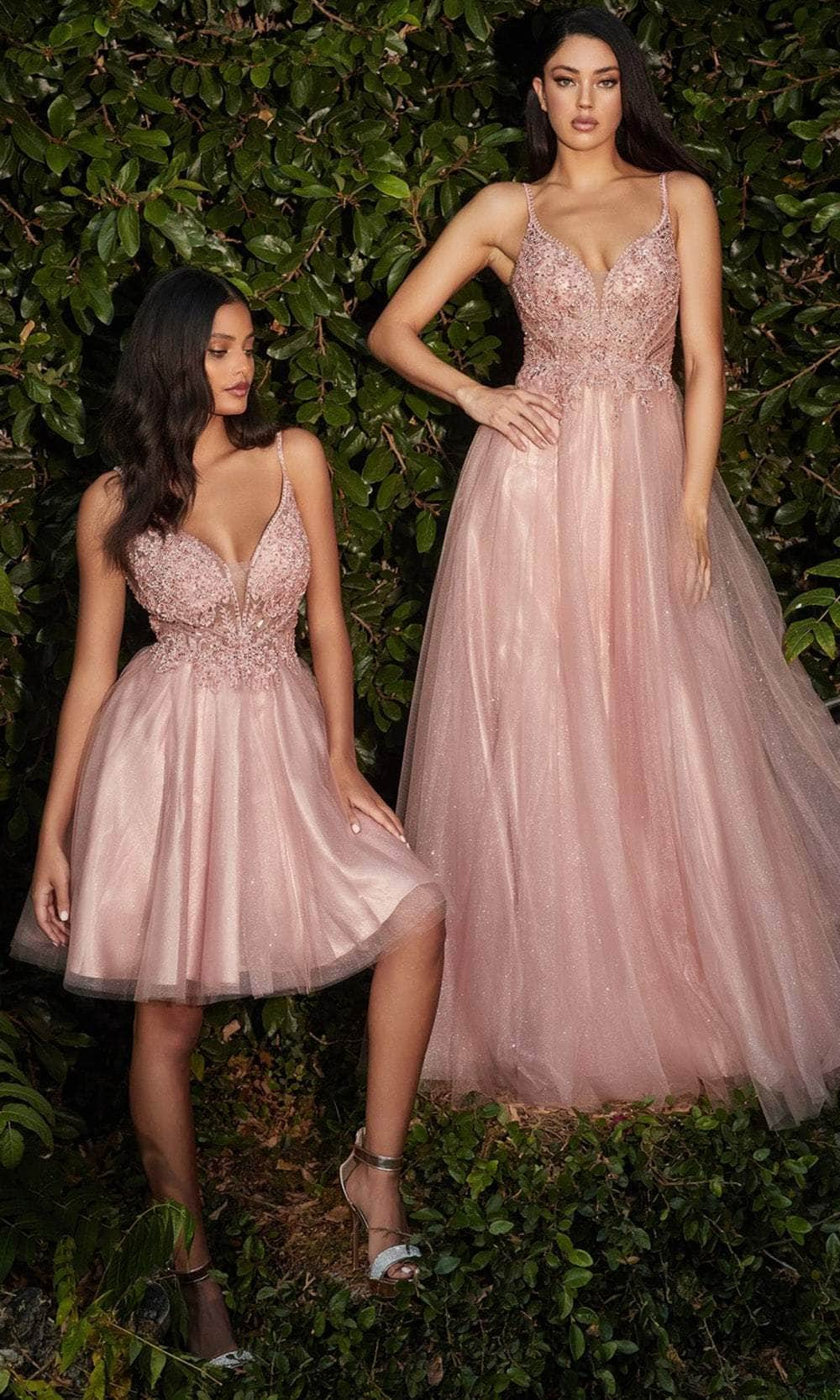 Image of Ladivine CD0195 - Adorned Lace Tulle Prom Dress