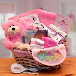 Image of New Baby Basics Pink Gift Basket