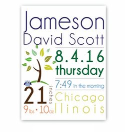 Image of Personalized Baby Boy Announcement Canvas Sign