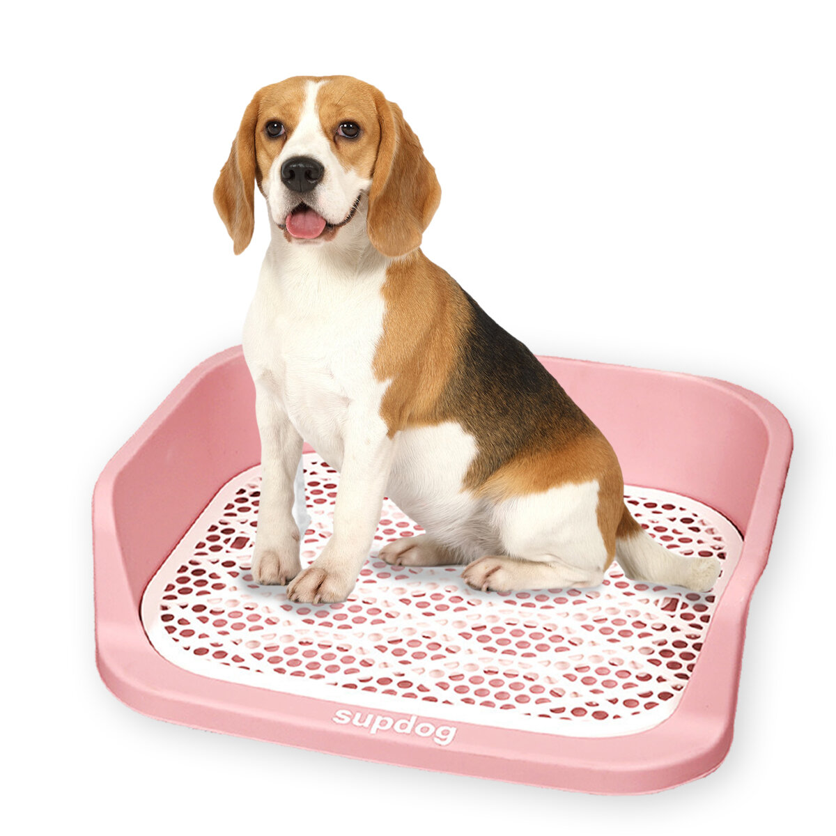 Image of Pet Loo Portable Outdoor or Indoor Dog Toliet Alternative to Puppy Pads for Small Medium Large Dogs