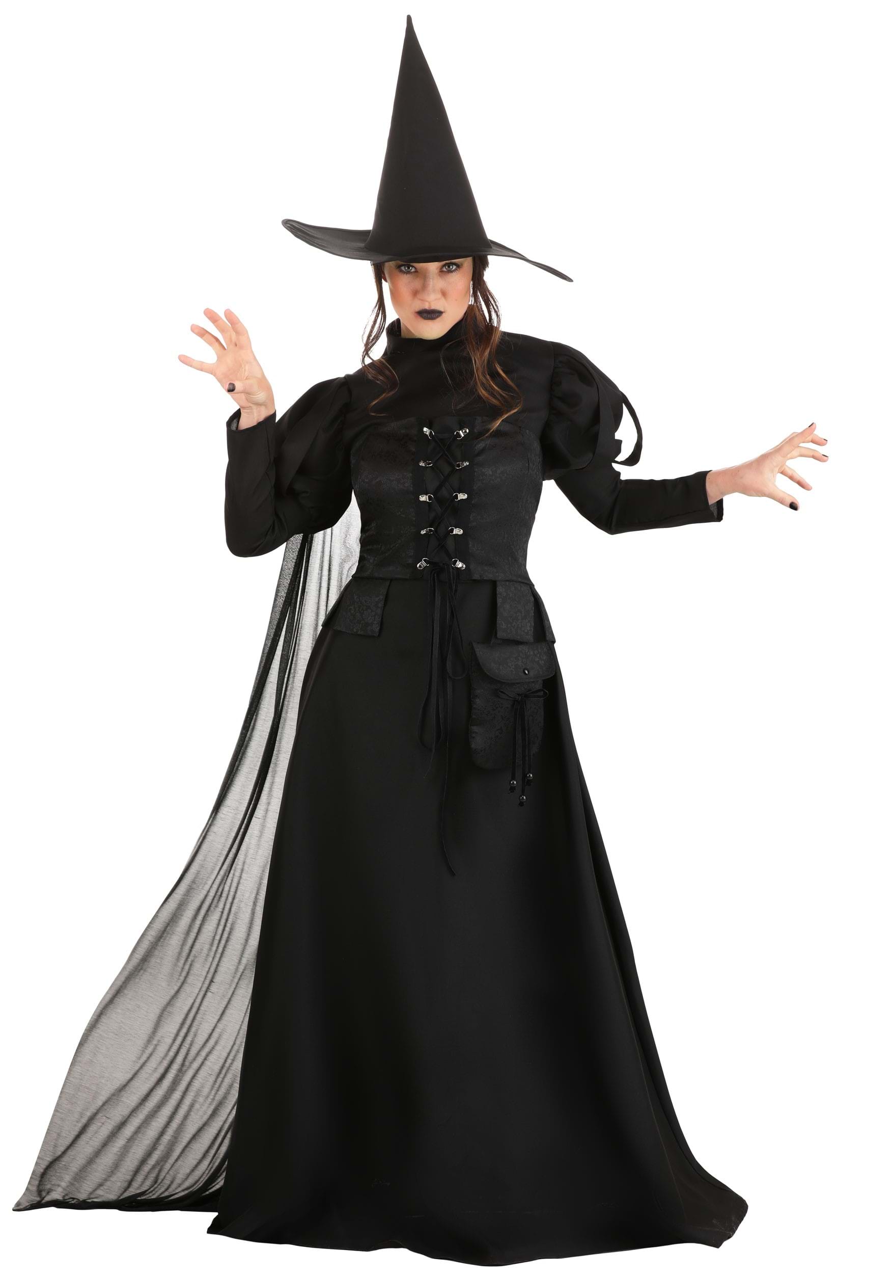 Image of Premium Wayward Witch Costume for Adults ID FUN3822AD-M