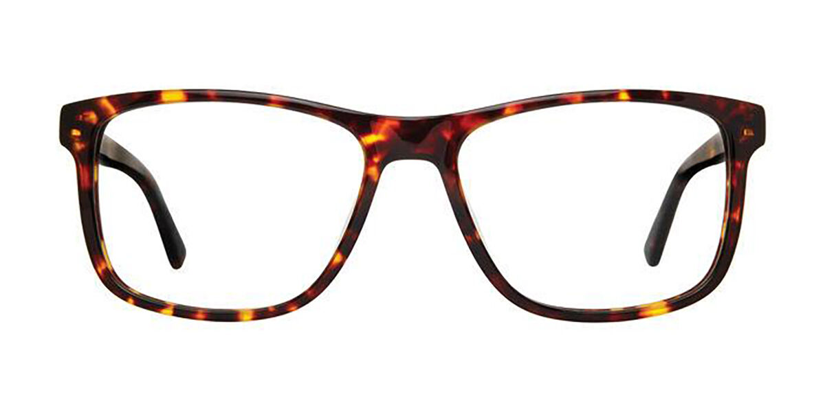 Image of Privé Revaux RELAY 086 Óculos de Grau Tortoiseshell Masculino PRT