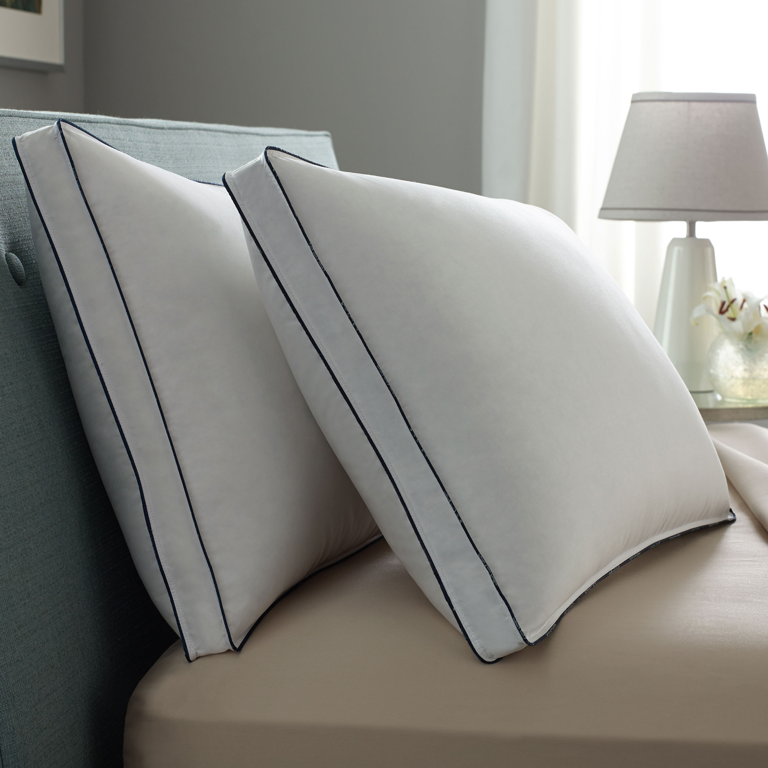 Image of Queen Double DownAround Medium 2 Pack Pillows | Pacific Coast Bedding