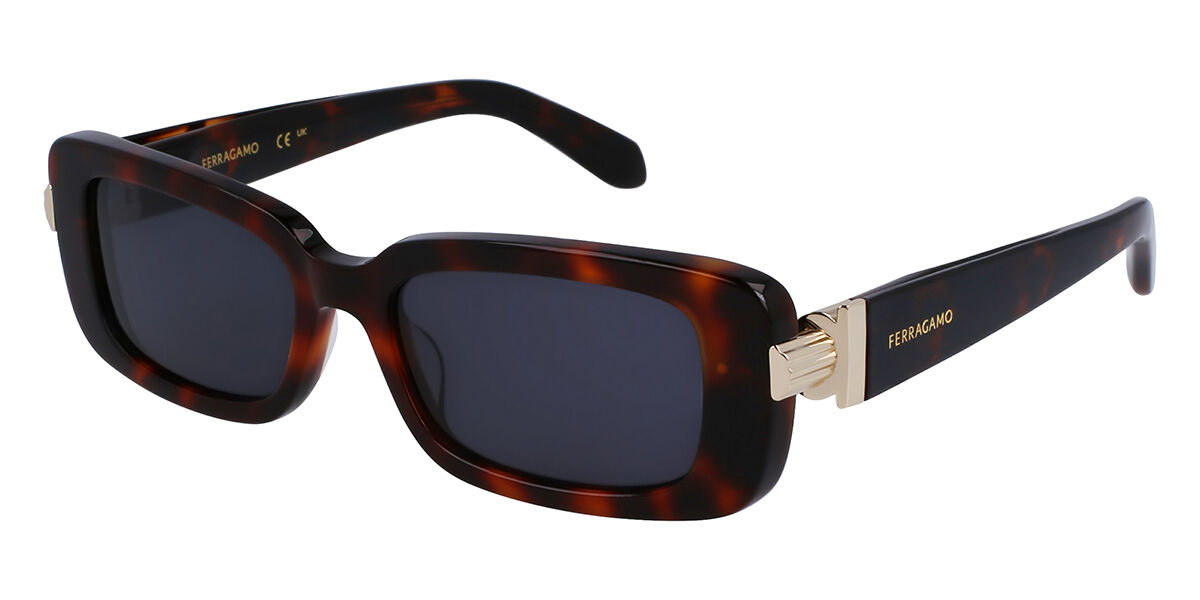 Image of Salvatore Ferragamo SF 1105S 240 Óculos de Sol Tortoiseshell Feminino PRT