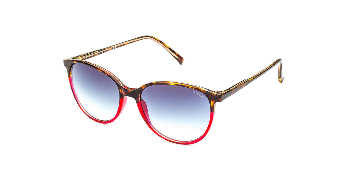 Image of Saraghina JOLE 401LA Óculos de Sol Tortoiseshell Feminino BRLPT