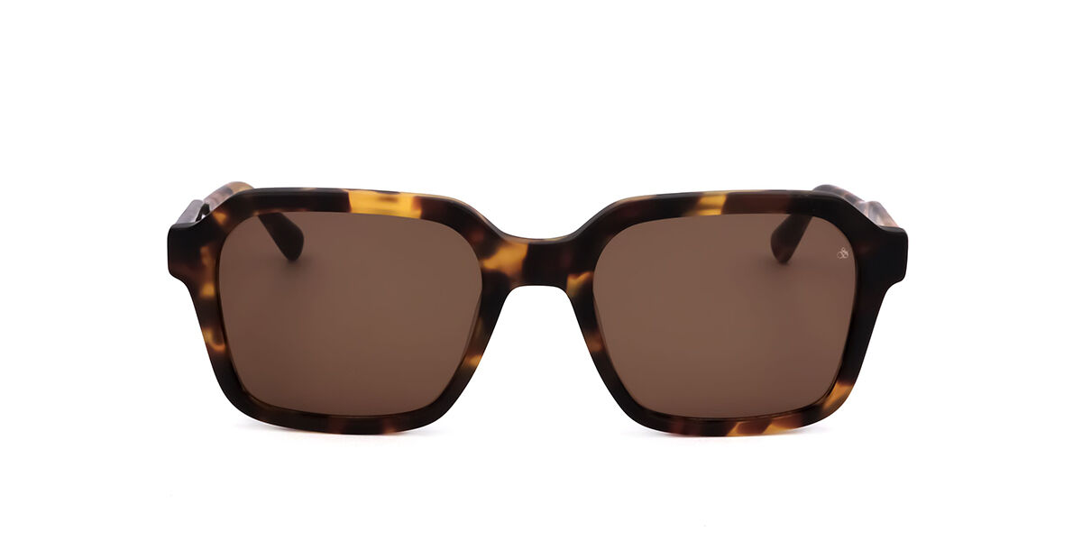 Image of Scotch & Soda SS8008 104 51 Lunettes De Soleil Homme Tortoiseshell FR