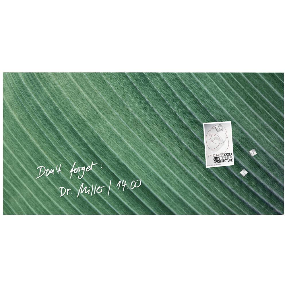 Image of Sigel Glass board (magnetic) Artverum Palm Leaf (W x H) 91 cm x 46 cm Green GL371