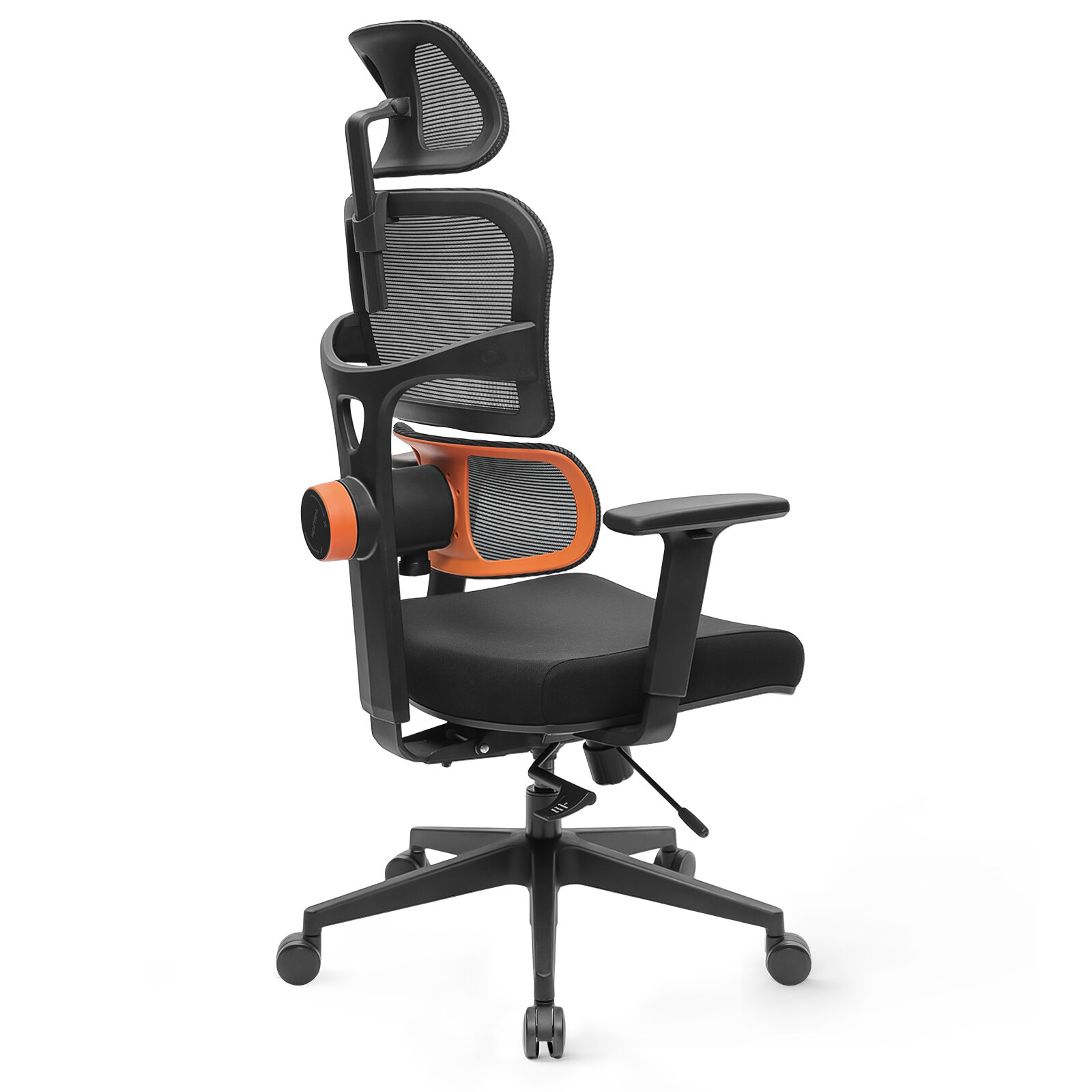 Image of [Standard Version] NEWTRAL Ergonomic Office Chair High Back Desk Chair with Unique Adjustable Lumbar Support Adjustable