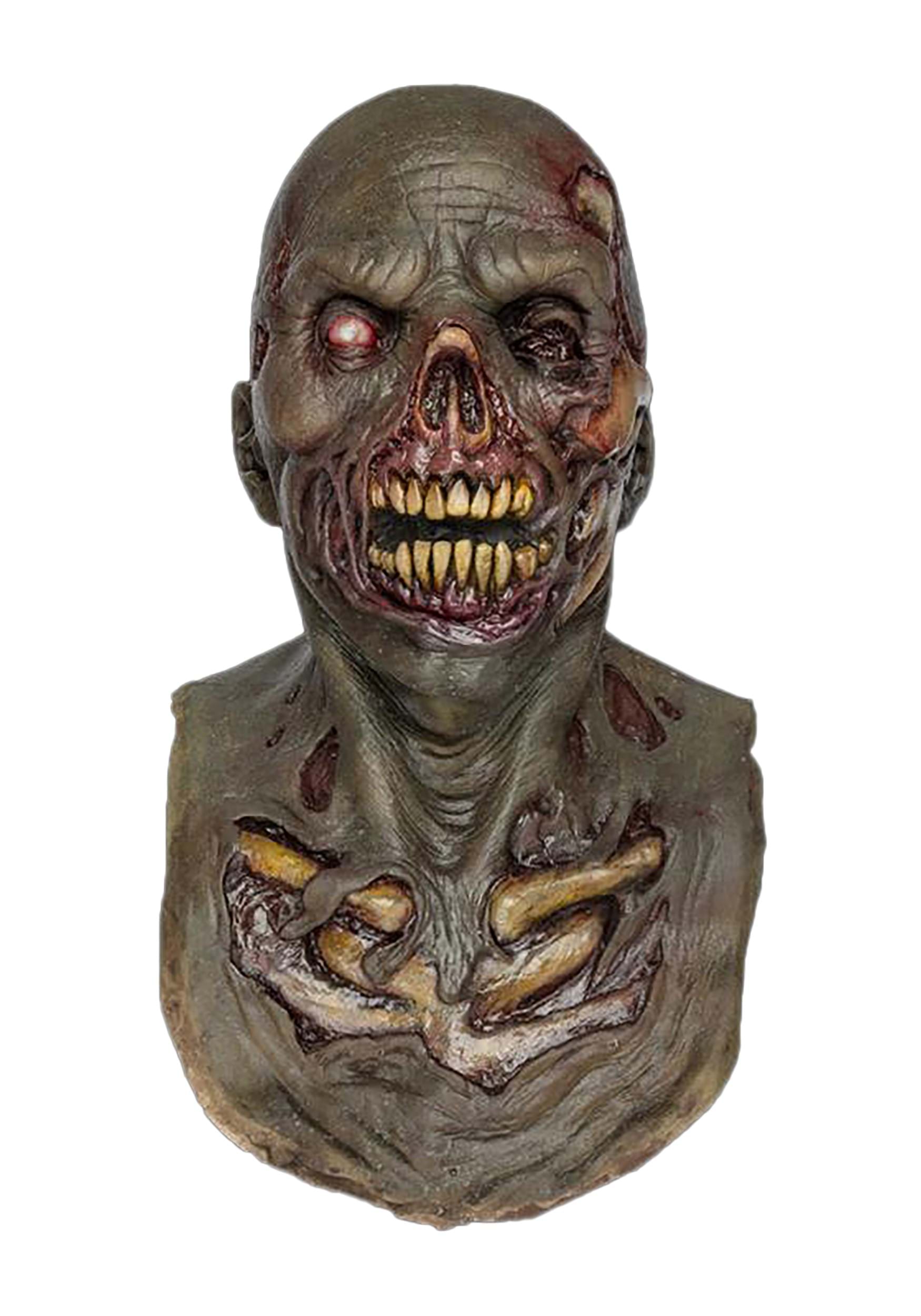 Image of Stench Zombie Adult Mask ID OK4102-ST
