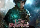 Image of The Last Remnant EU Steam CD Key TR