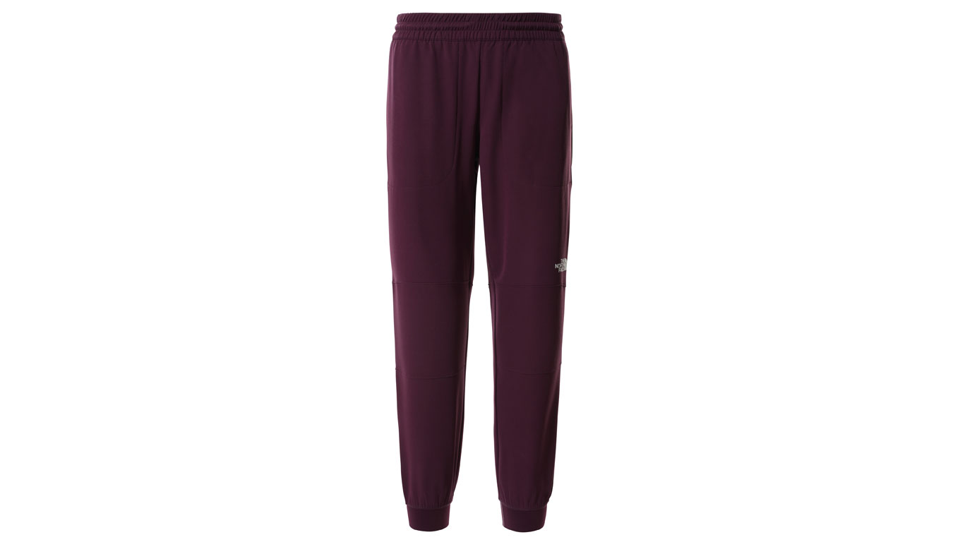 Image of The North Face W Tekwr Fleece Pant CZ