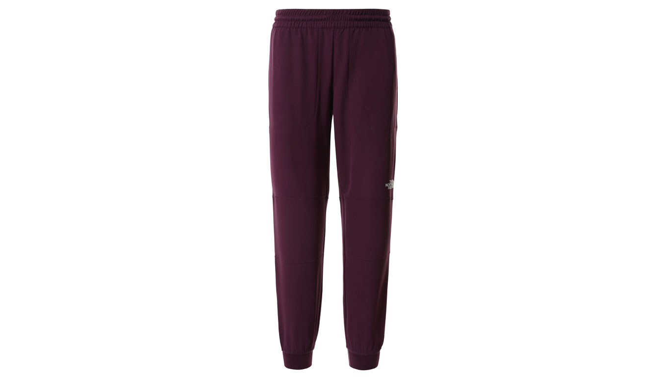 Image of The North Face W Tekwr Fleece Pant US