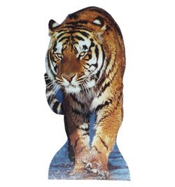 Image of Tiger Talking Cardboard Cutout